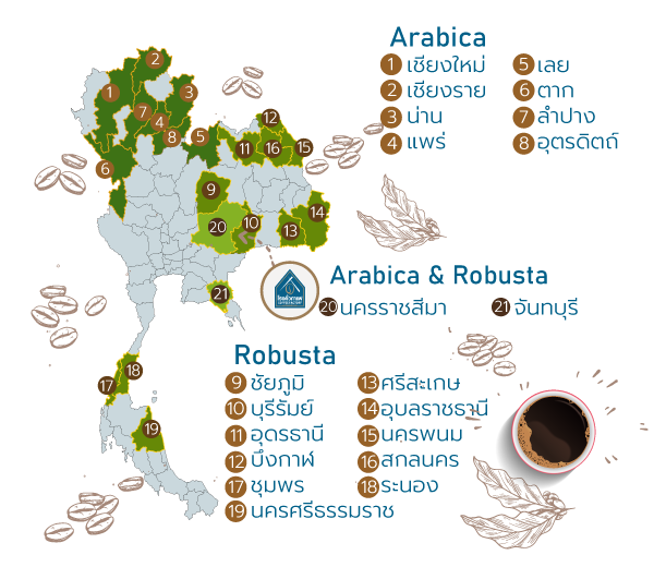 แผนที่ปลูกกาแฟโรงคั่วกาแฟวังน้ำเขียว
